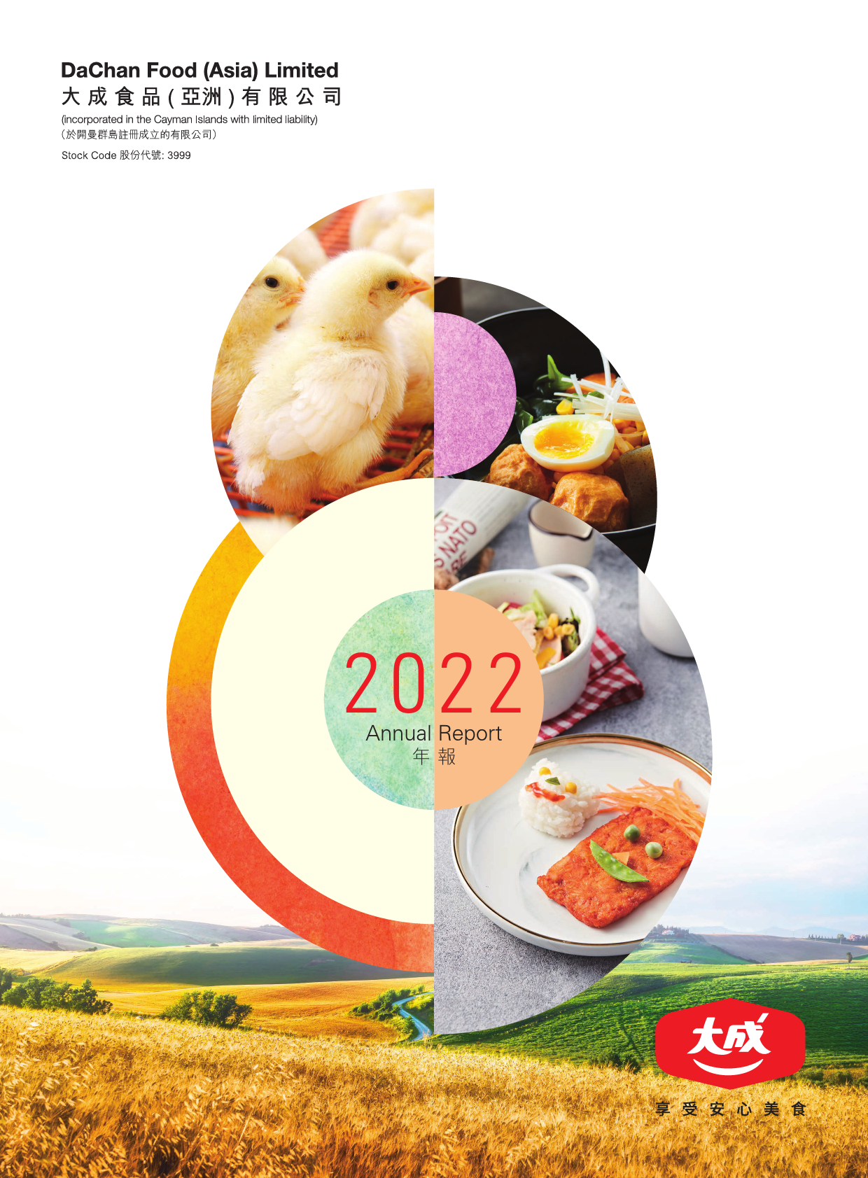大成食品：二零二二年年报_港股年报
