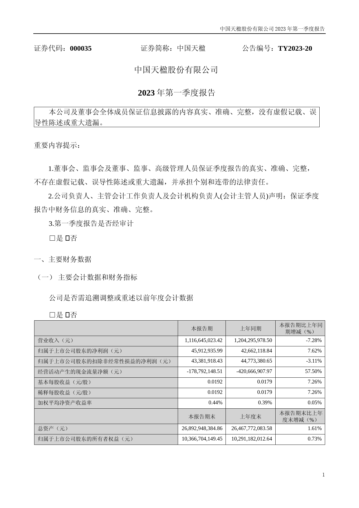 中国天楹：2023年一季度报告