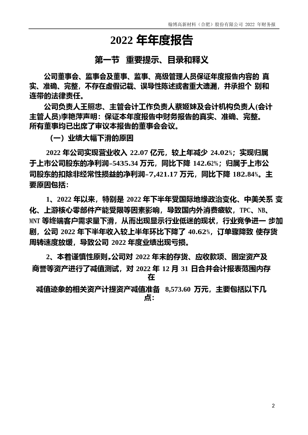 翰博高新：2022年年度财务报告_第2页