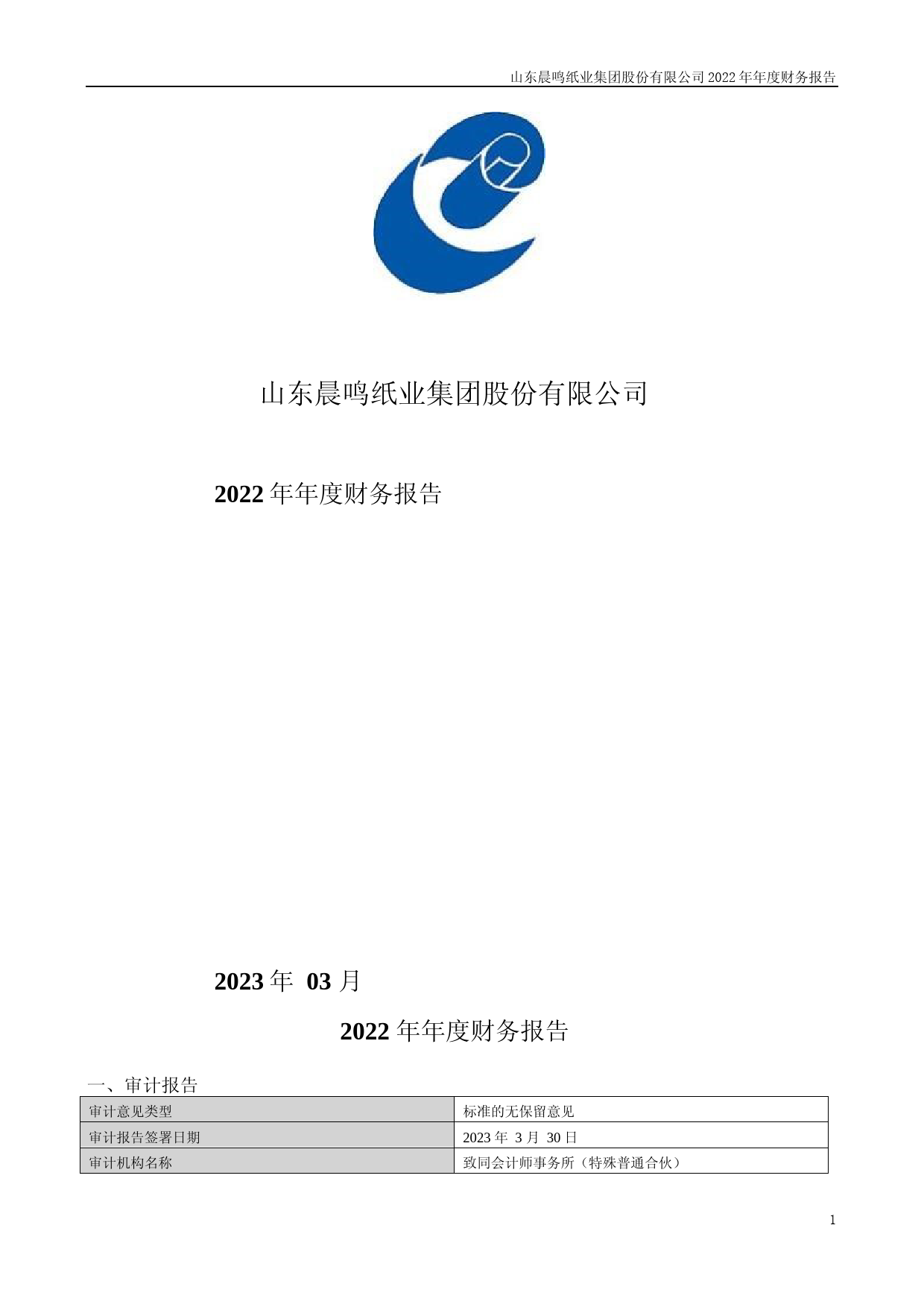 晨鸣纸业：2022年年度财务报告_第1页