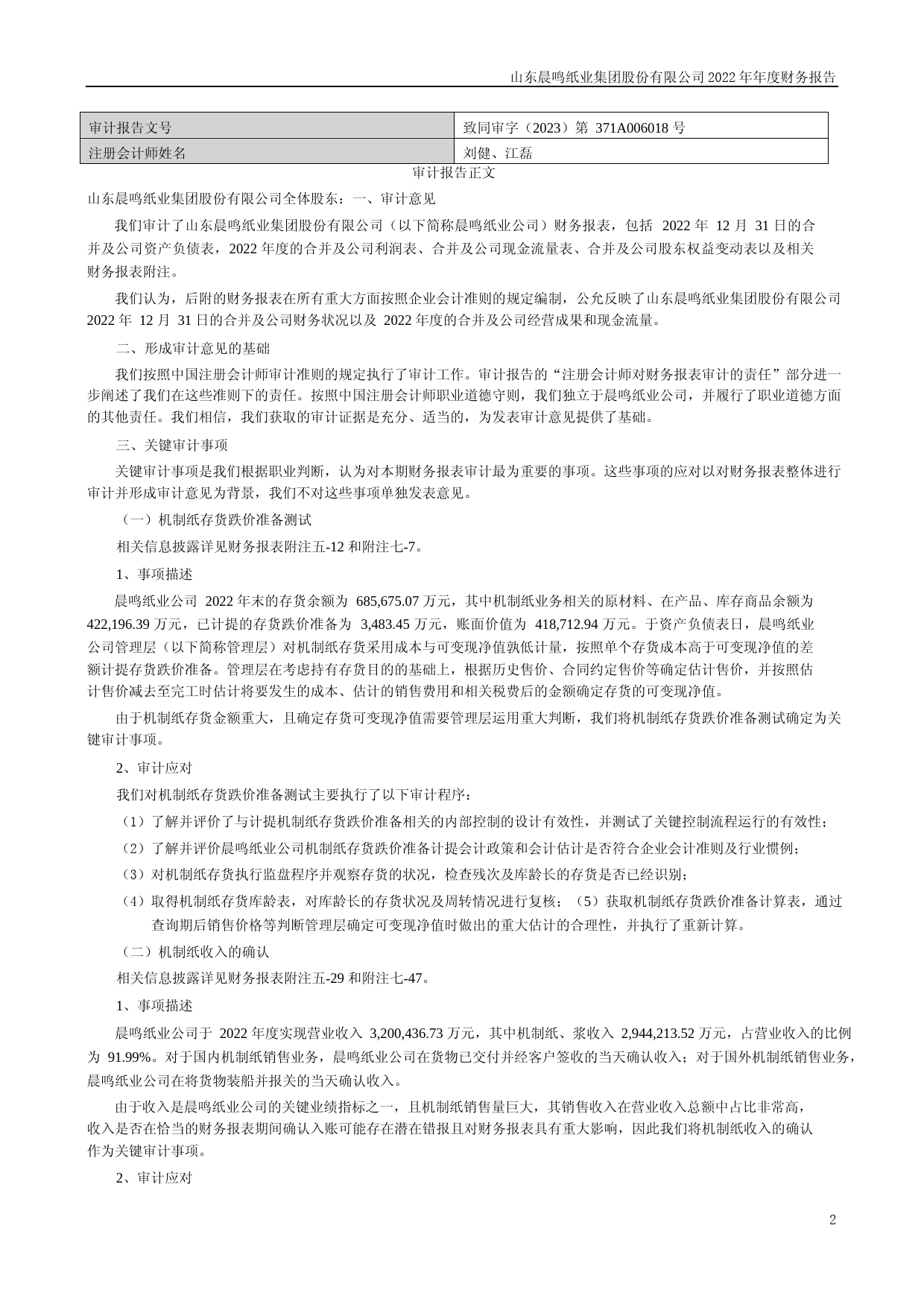 晨鸣纸业：2022年年度财务报告_第2页