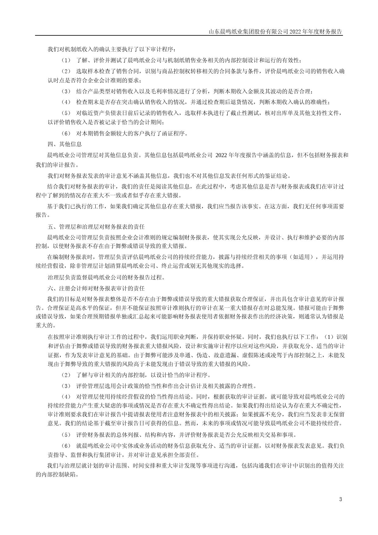 晨鸣纸业：2022年年度财务报告_第3页