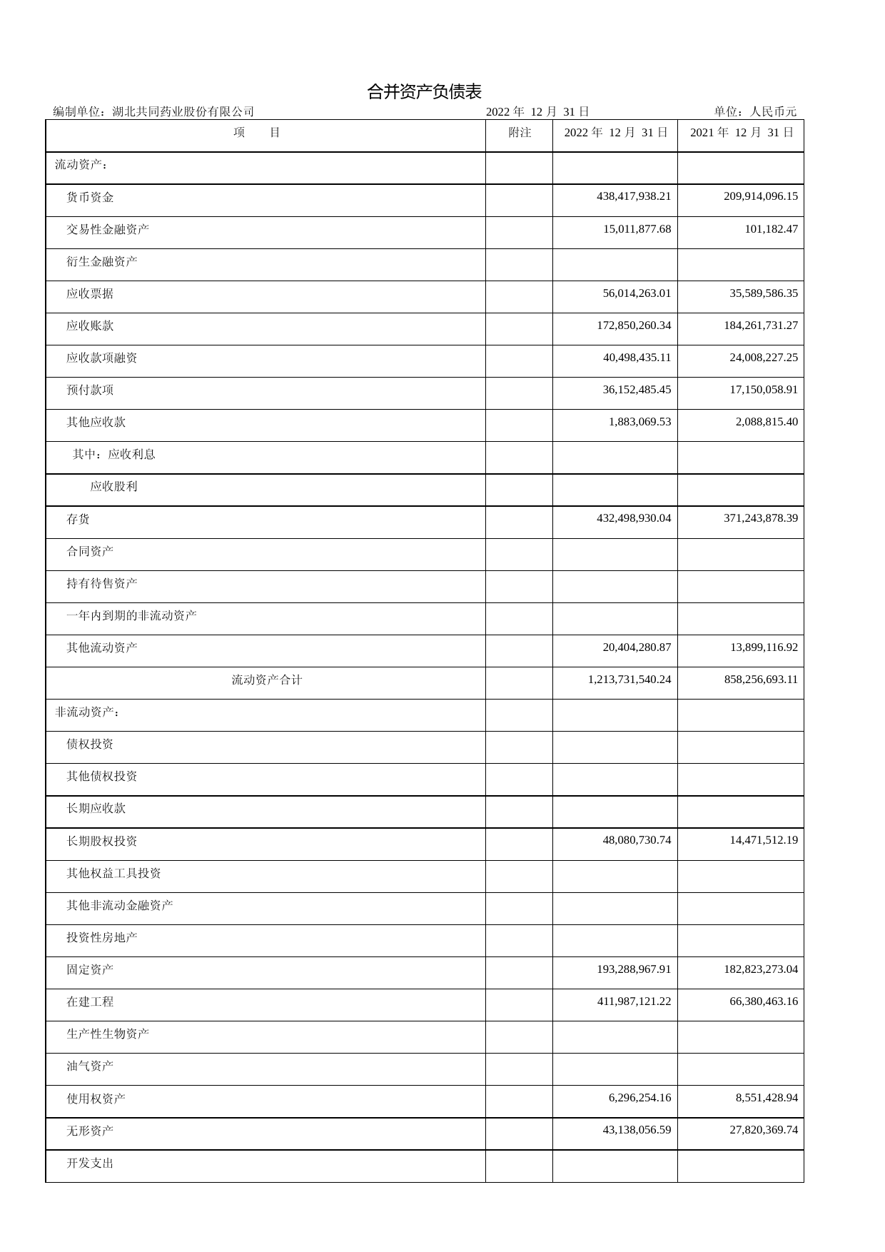 共同药业：2022年年度财务报告_第1页