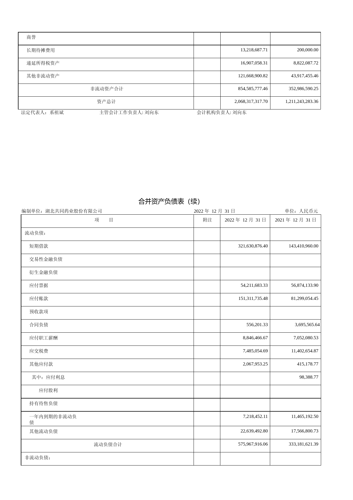 共同药业：2022年年度财务报告_第2页
