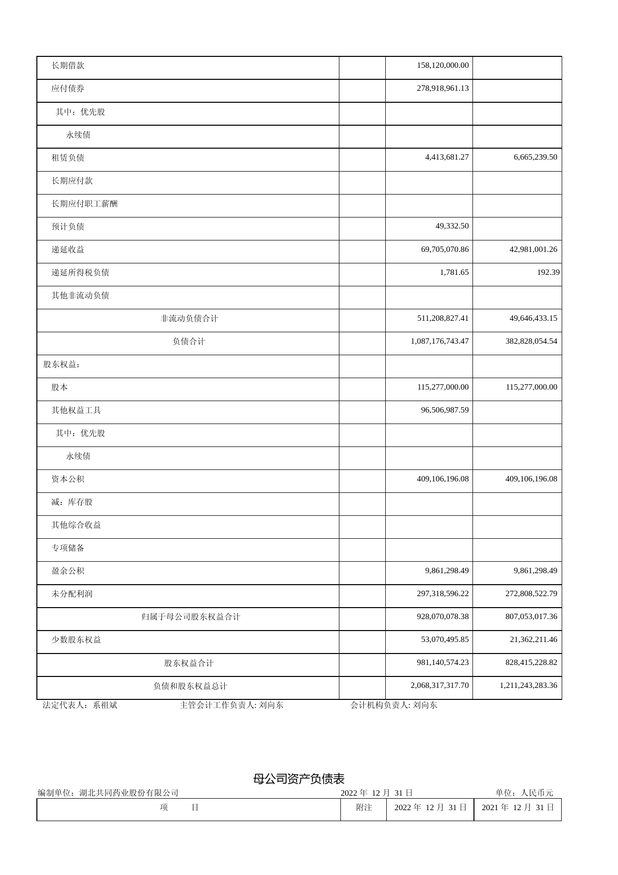 共同药业：2022年年度财务报告_第3页