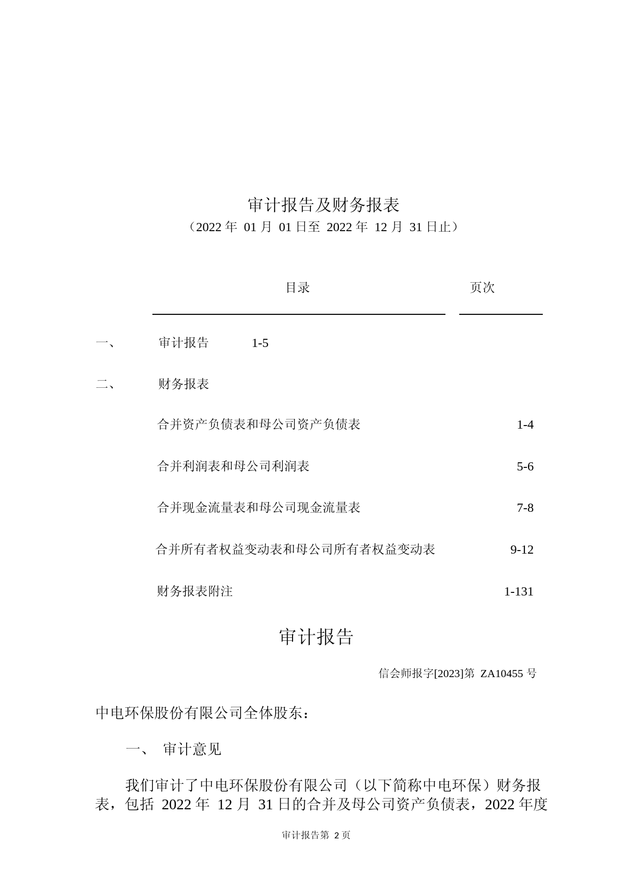 中电环保：2022年年度财务报告_第2页