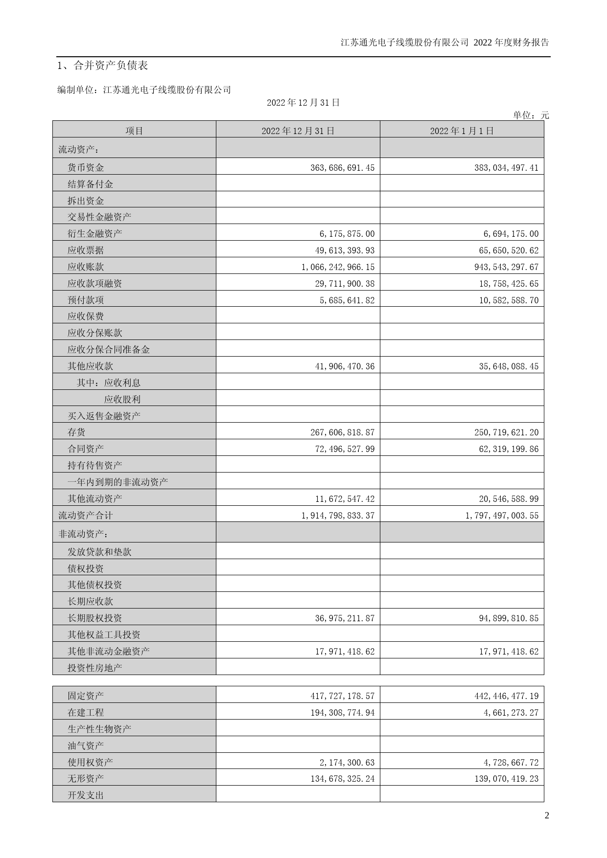 通光线缆：2022年年度财务报告_第2页