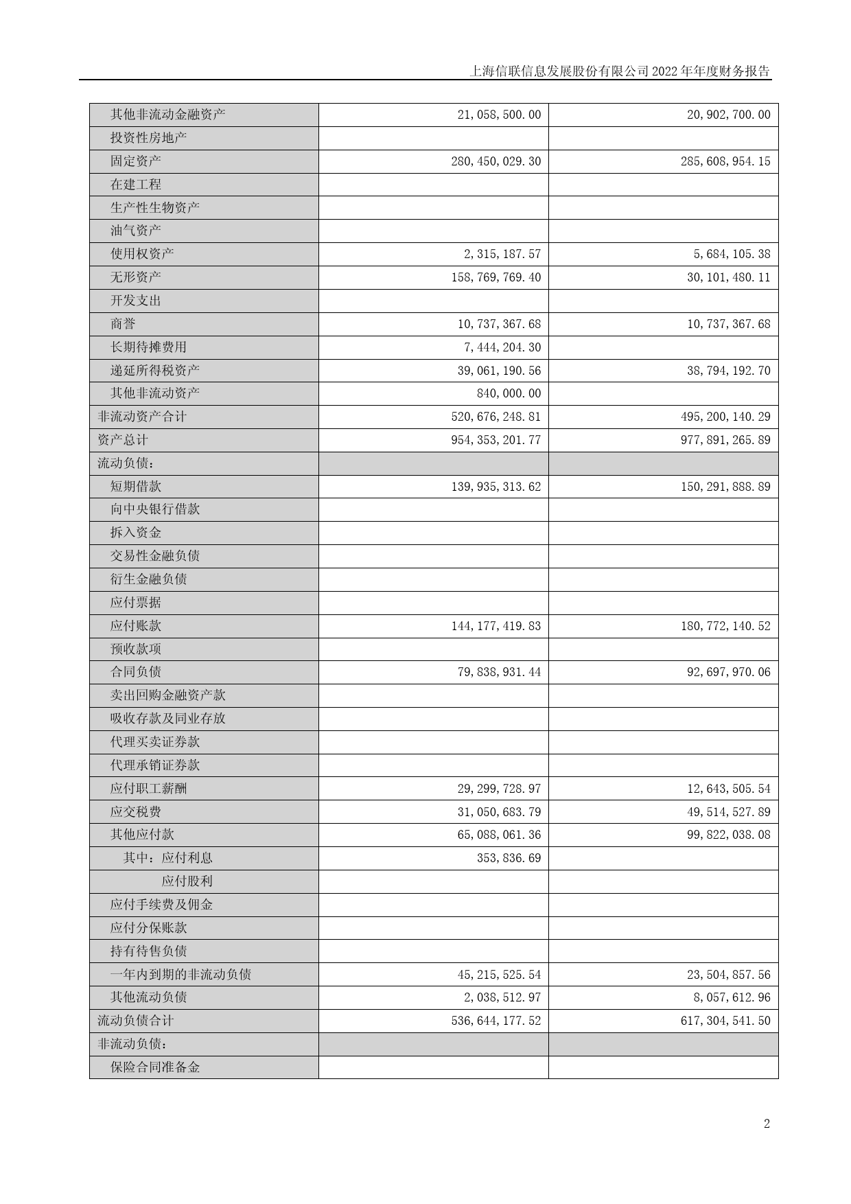 信息发展：2022年年度财务报告_第2页