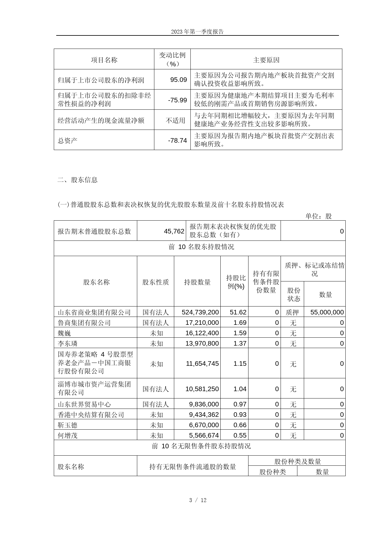 鲁商发展：鲁商健康产业发展股份有限公司2023年第一季度报告_第3页