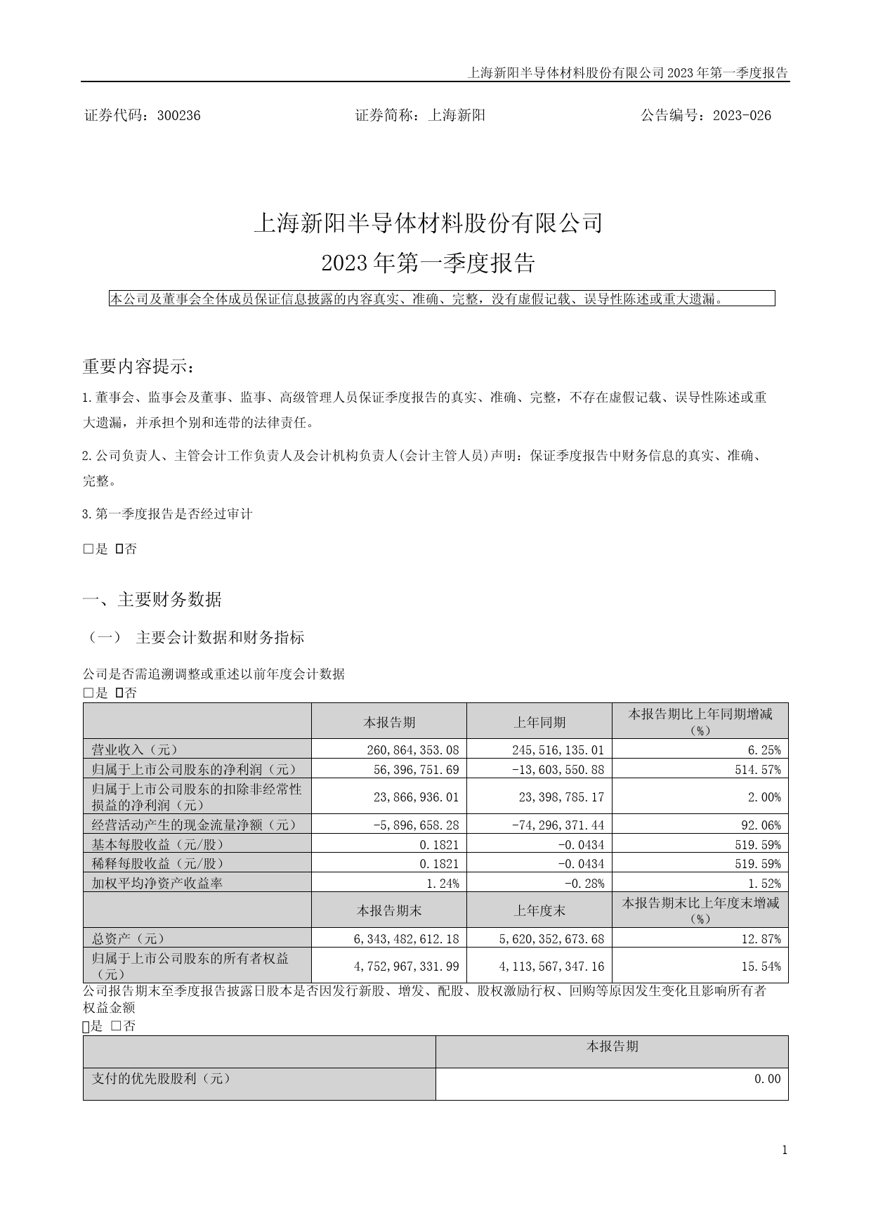 上海新阳：2023年一季度报告_第1页