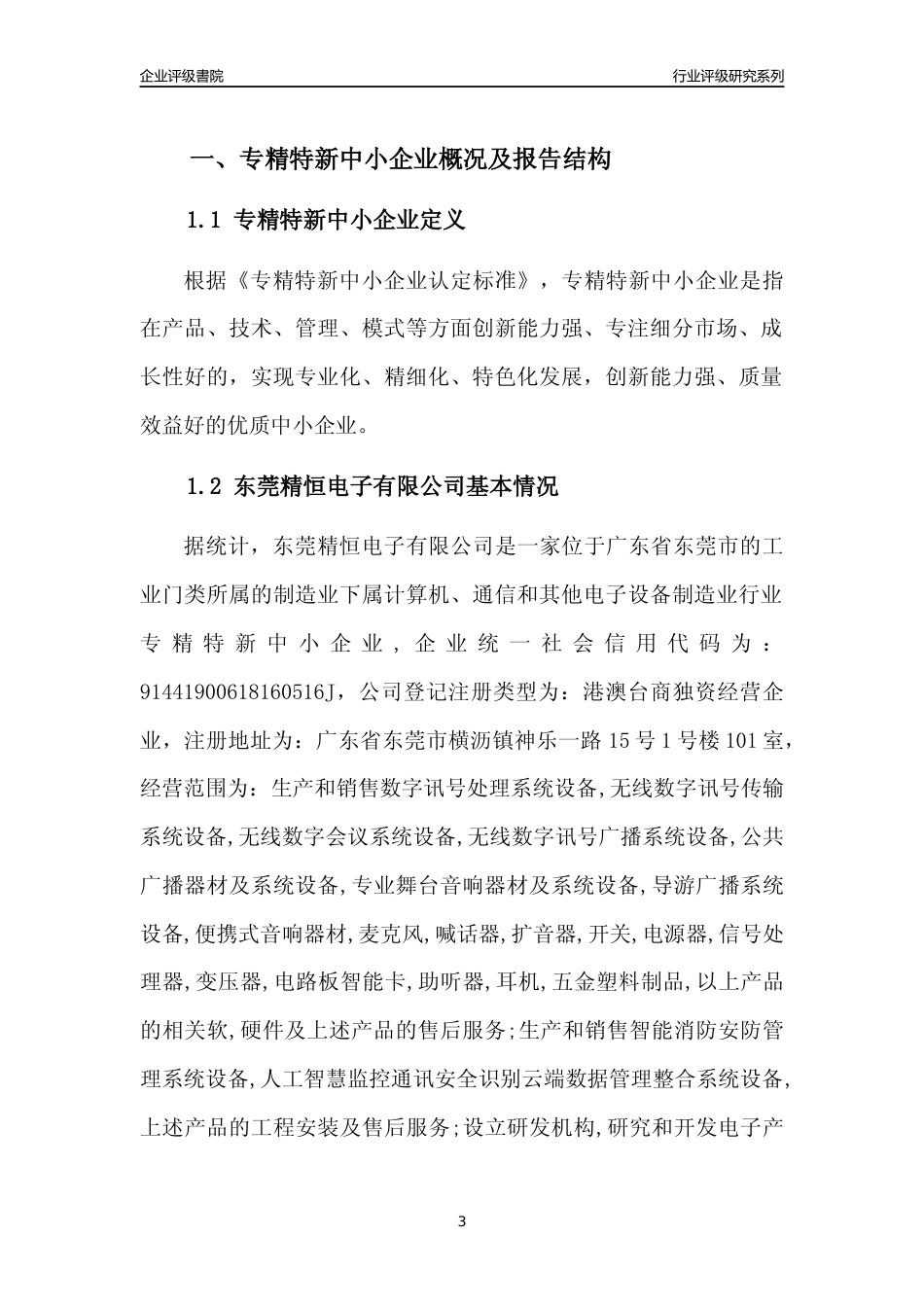 [专精特新]东莞精恒电子有限公司行业竞争力评级分析报告(2023版)_第3页