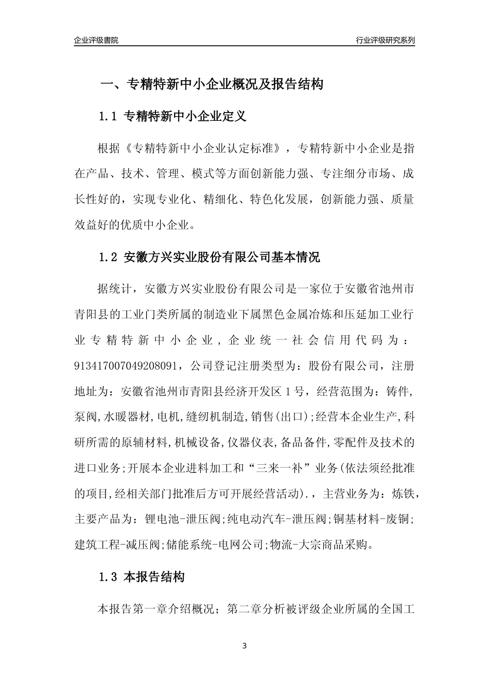 [专精特新]安徽方兴实业股份有限公司行业竞争力评级分析报告(2023版)_第3页