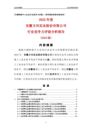 [专精特新]安徽方兴实业股份有限公司行业竞争力评级分析报告(2023版)