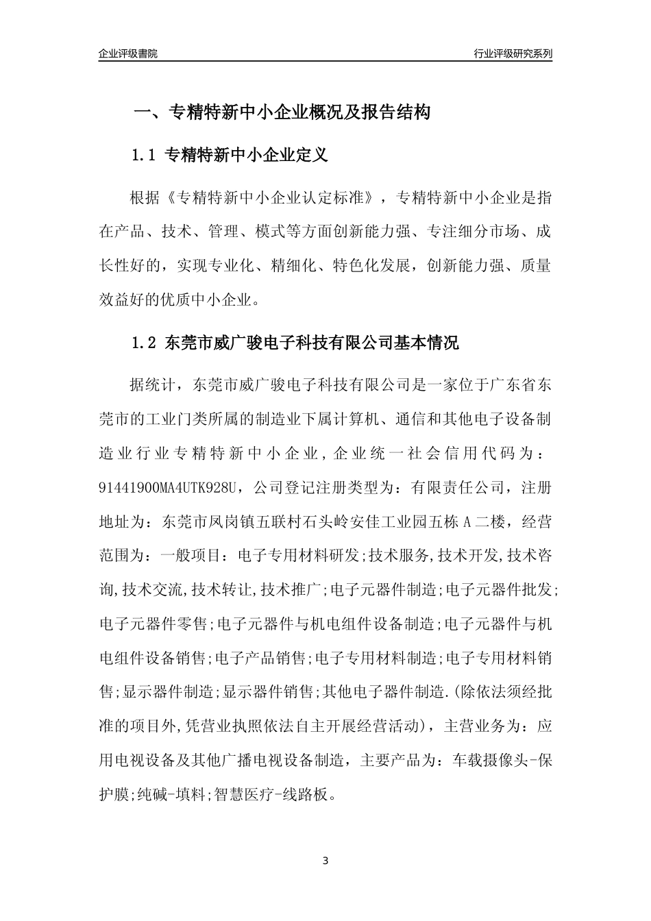 [专精特新]东莞市威广骏电子科技有限公司行业竞争力评级分析报告(2023版)_第3页