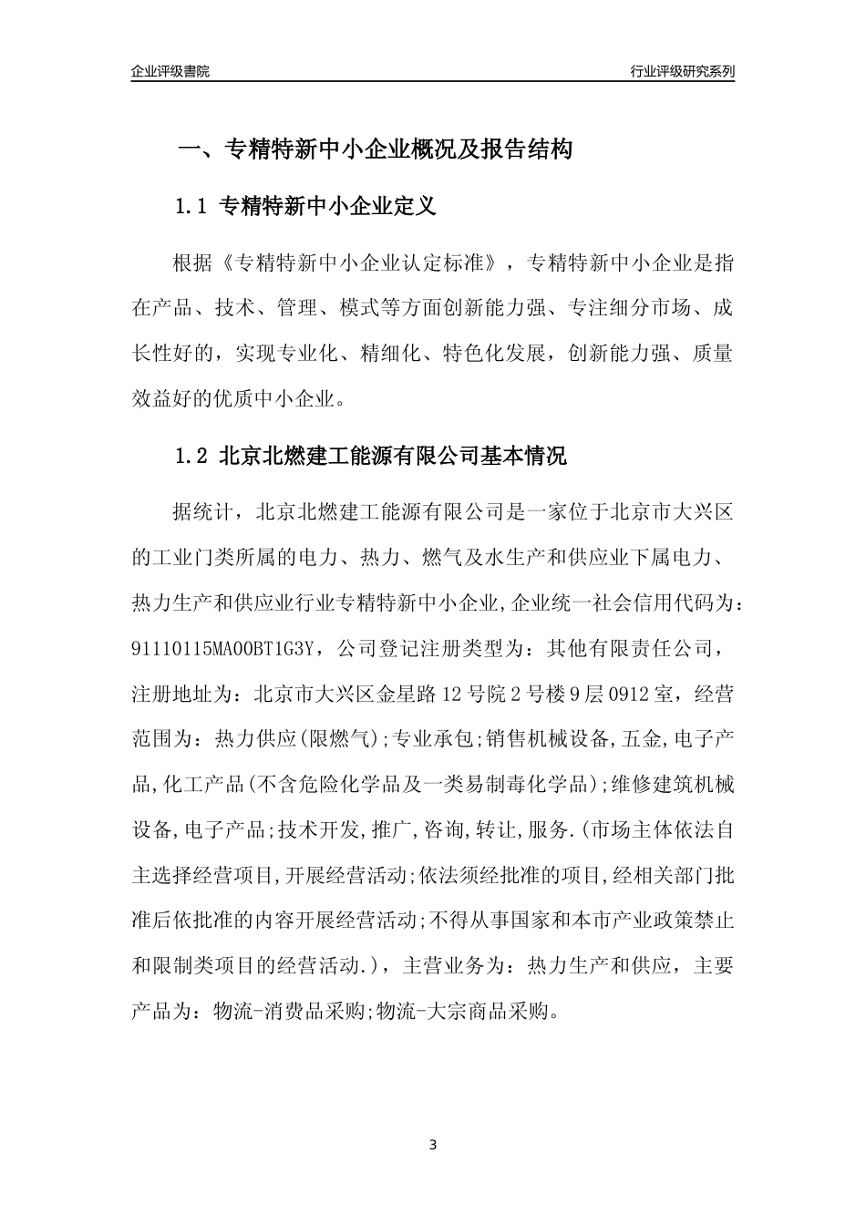 [专精特新]北京北燃建工能源有限公司行业竞争力评级分析报告(2023版)_第3页