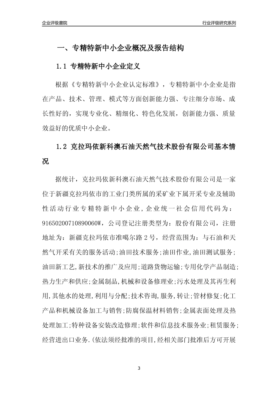 [专精特新]克拉玛依新科澳石油天然气技术股份有限公司行业竞争力评级分析报告(2023版)_第3页