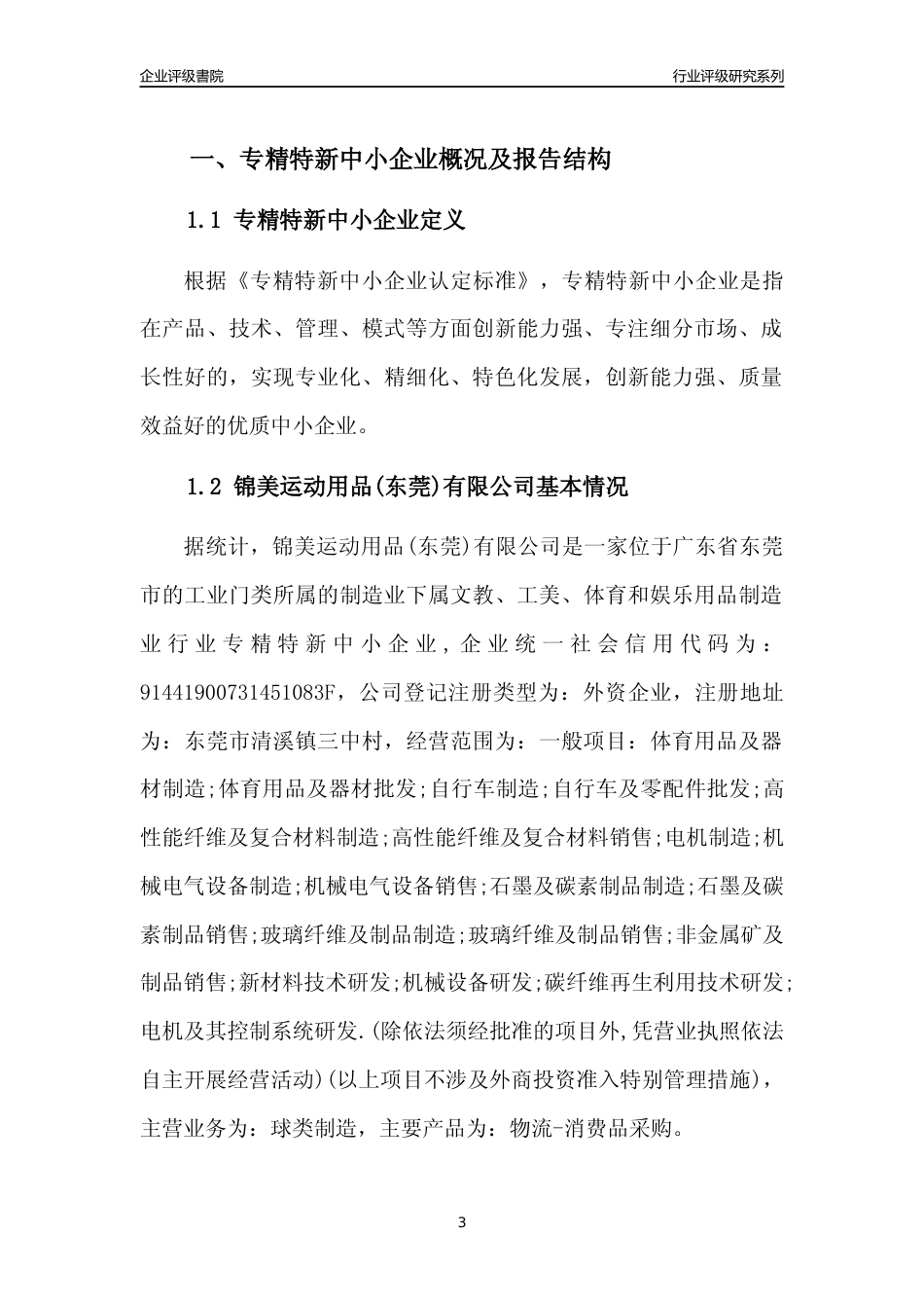 [专精特新]锦美运动用品(东莞)有限公司行业竞争力评级分析报告(2023版)_第3页