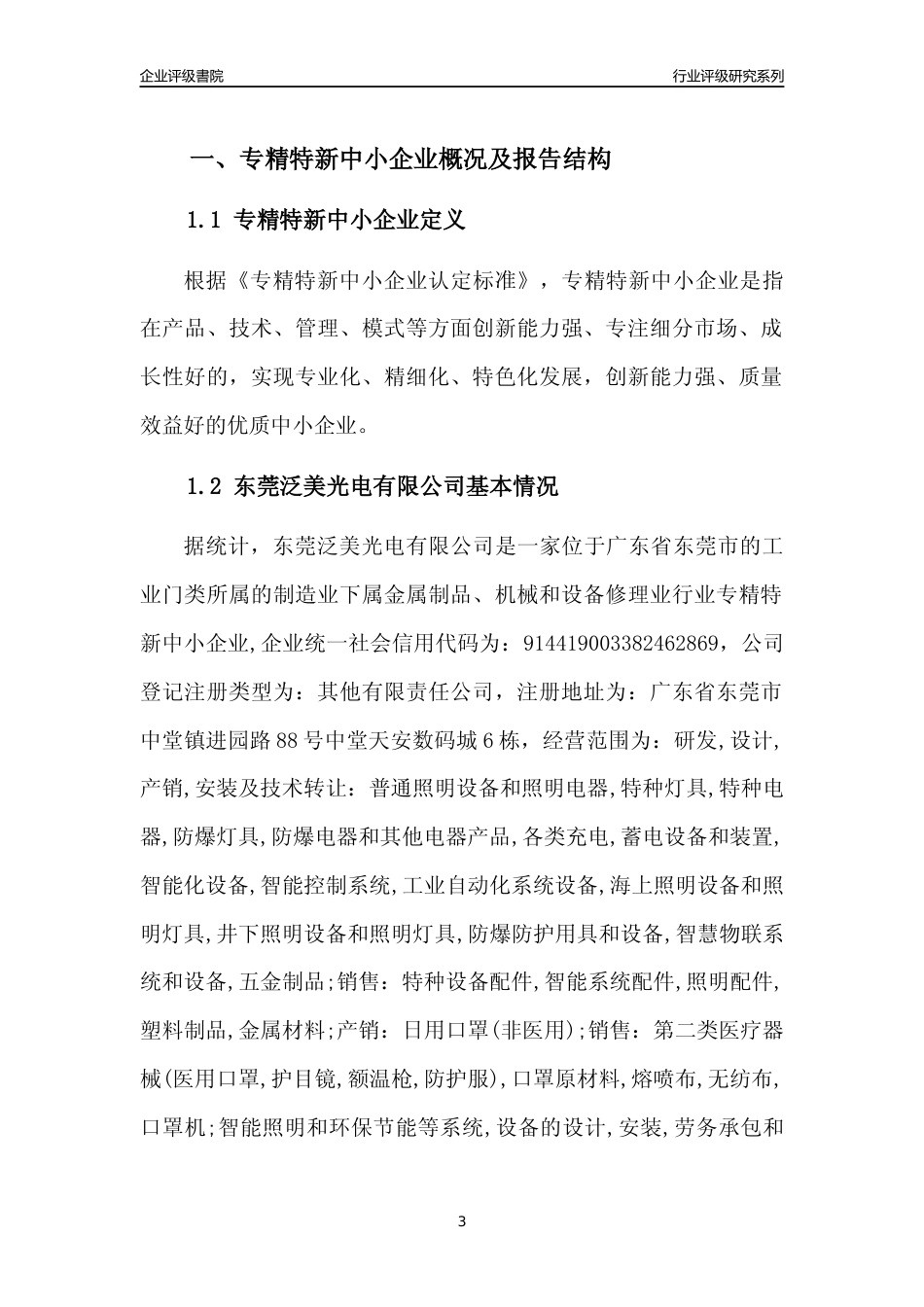 [专精特新]东莞泛美光电有限公司行业竞争力评级分析报告(2023版)_第3页