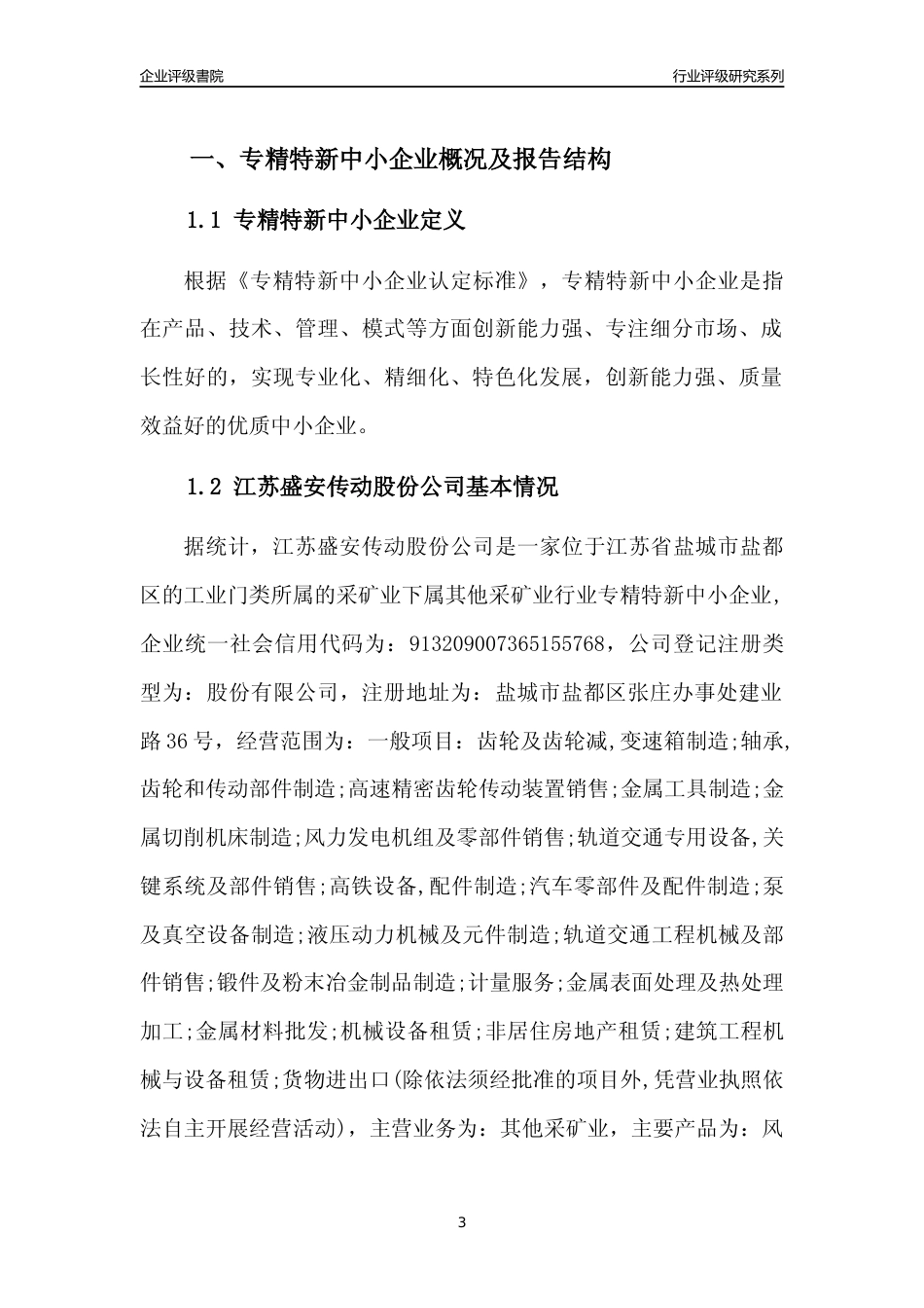 [专精特新]江苏盛安传动股份公司行业竞争力评级分析报告(2023版)_第3页