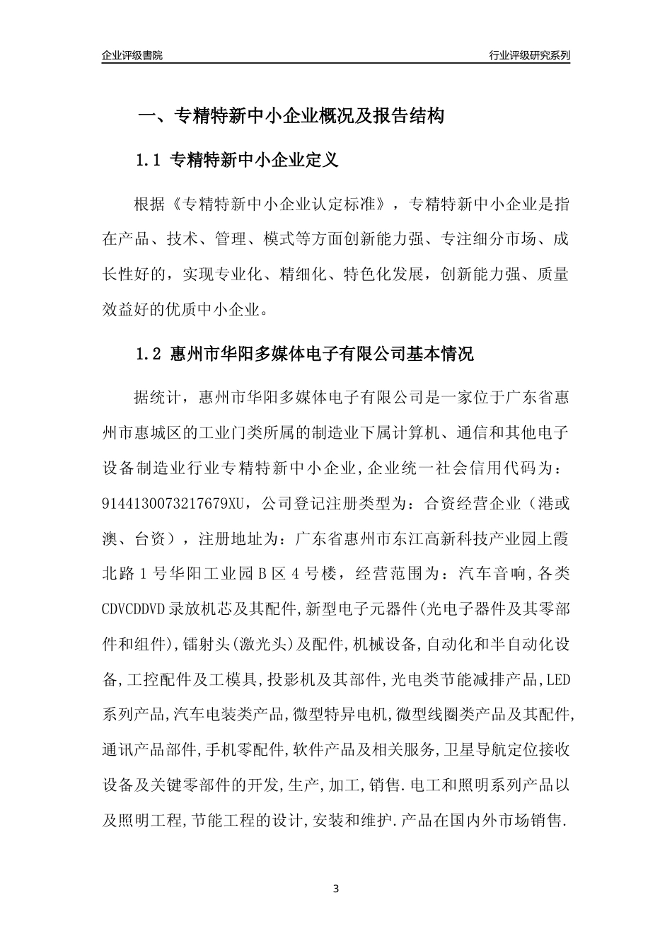 [专精特新]惠州市华阳多媒体电子有限公司行业竞争力评级分析报告(2023版)_第3页