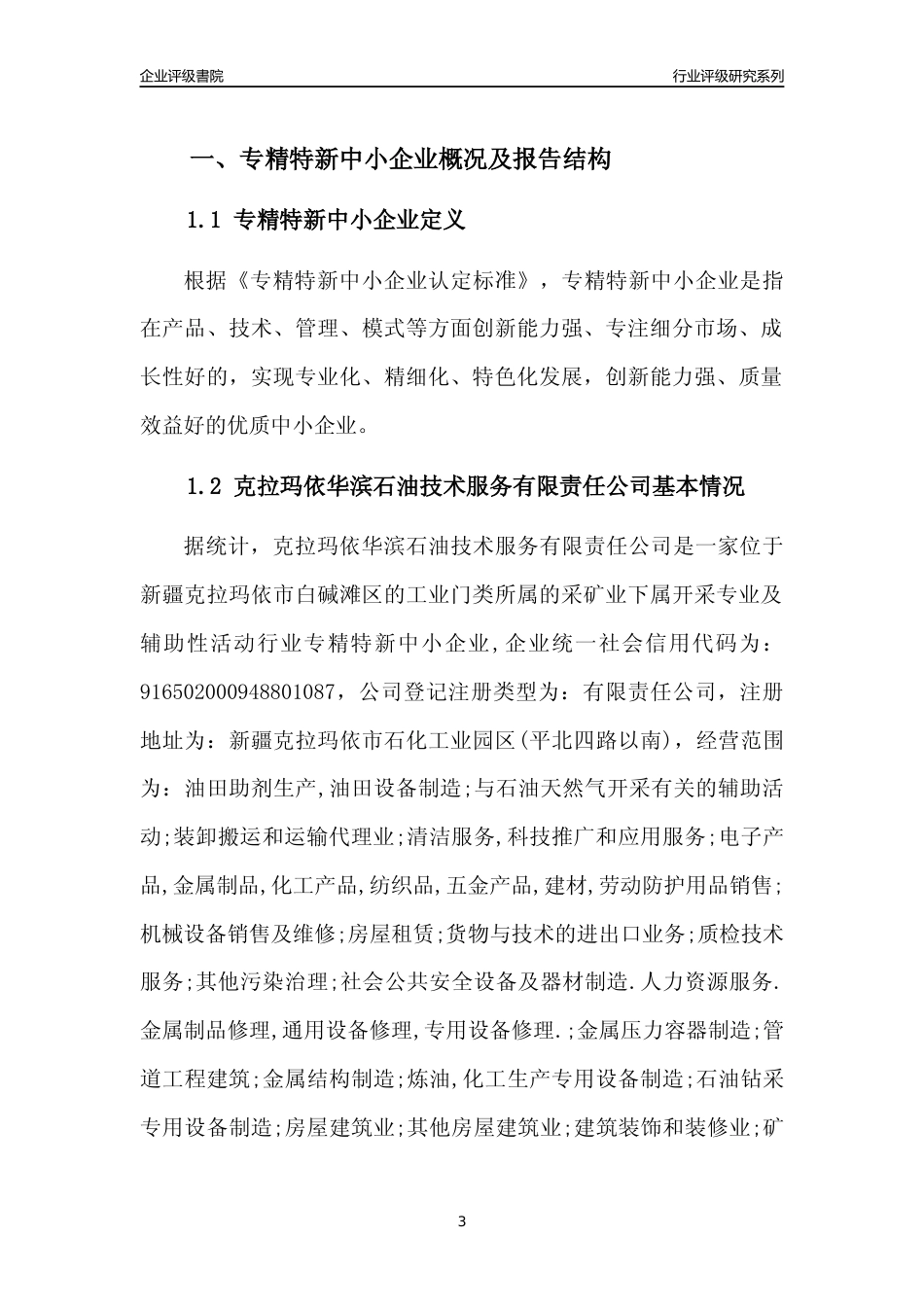 [专精特新]克拉玛依华滨石油技术服务有限责任公司行业竞争力评级分析报告(2023版)_第3页