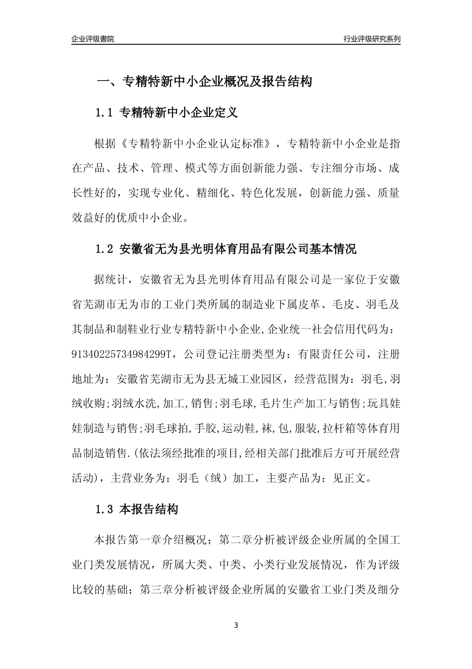 [专精特新]安徽省无为县光明体育用品有限公司行业竞争力评级分析报告(2023版)_第3页