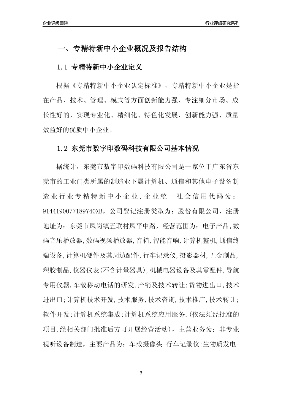 [专精特新]东莞市数字印数码科技有限公司行业竞争力评级分析报告(2023版)_第3页