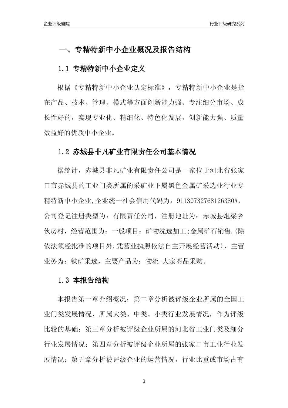 [专精特新]赤城县非凡矿业有限责任公司行业竞争力评级分析报告(2023版)_第3页
