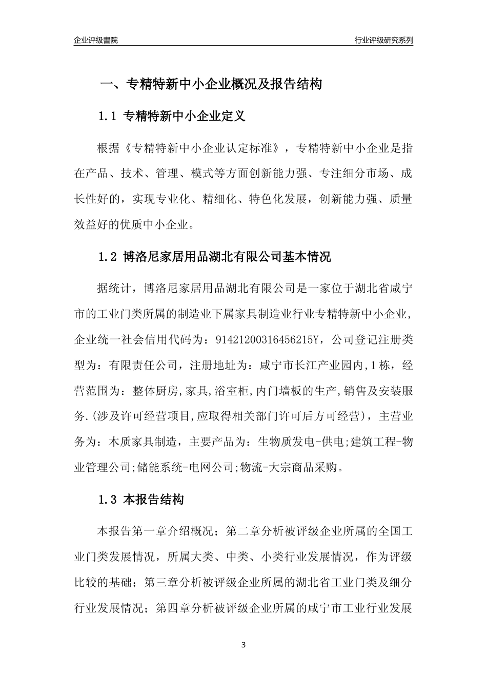 [专精特新]博洛尼家居用品湖北有限公司行业竞争力评级分析报告(2023版)_第3页