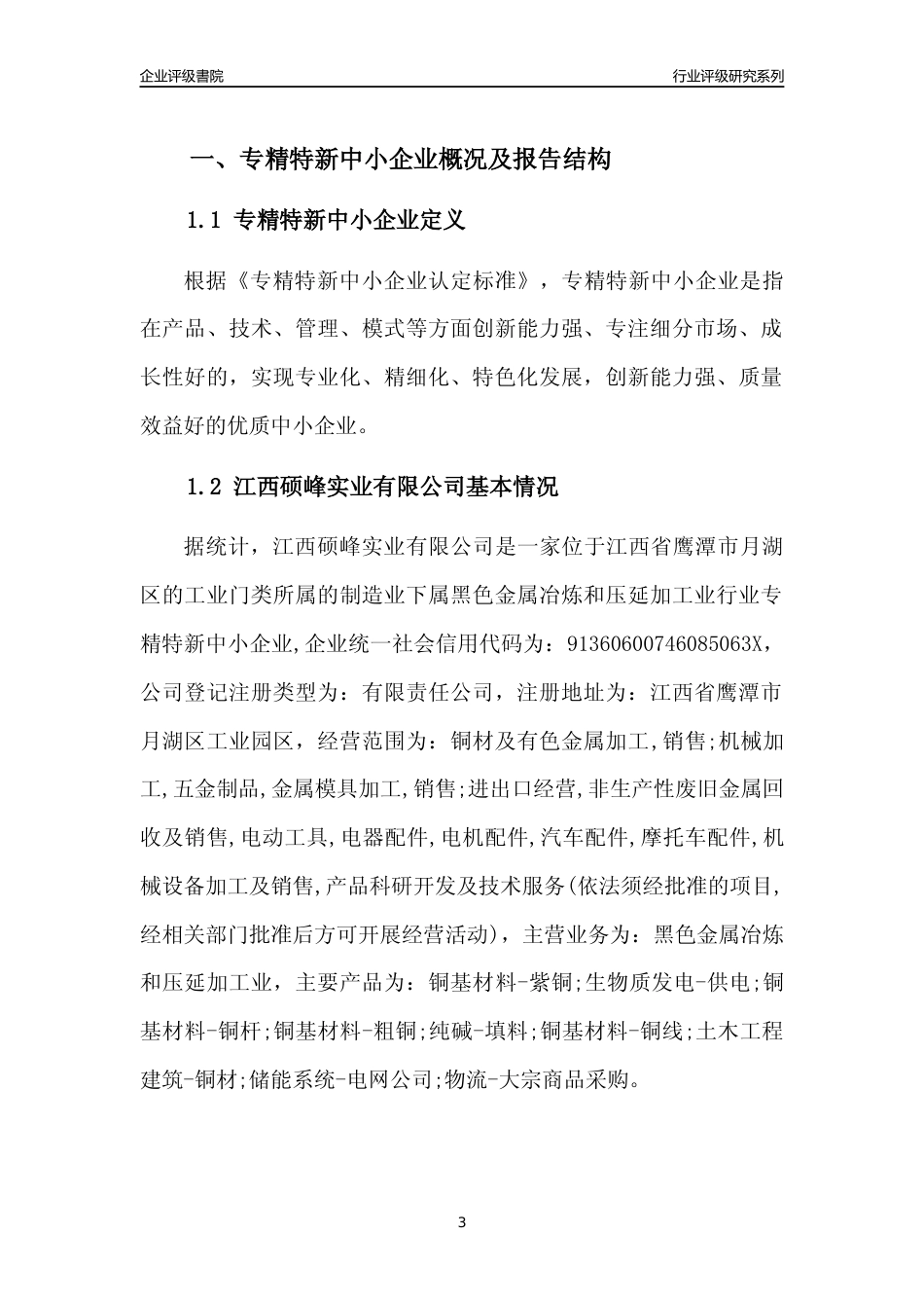 [专精特新]江西硕峰实业有限公司行业竞争力评级分析报告(2023版)_第3页