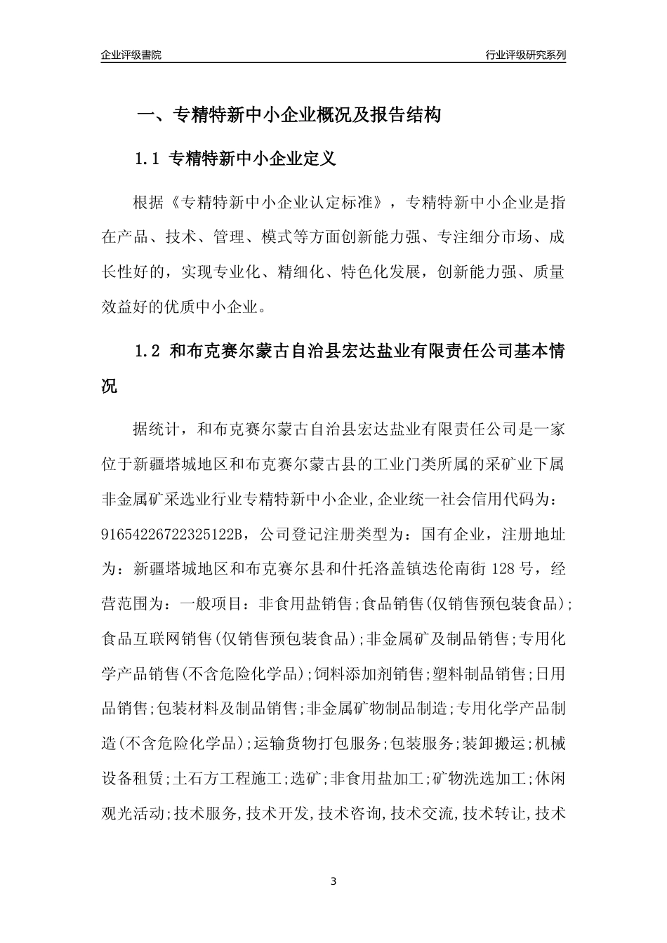 [专精特新]和布克赛尔蒙古自治县宏达盐业有限责任公司行业竞争力评级分析报告(2023版)_第3页