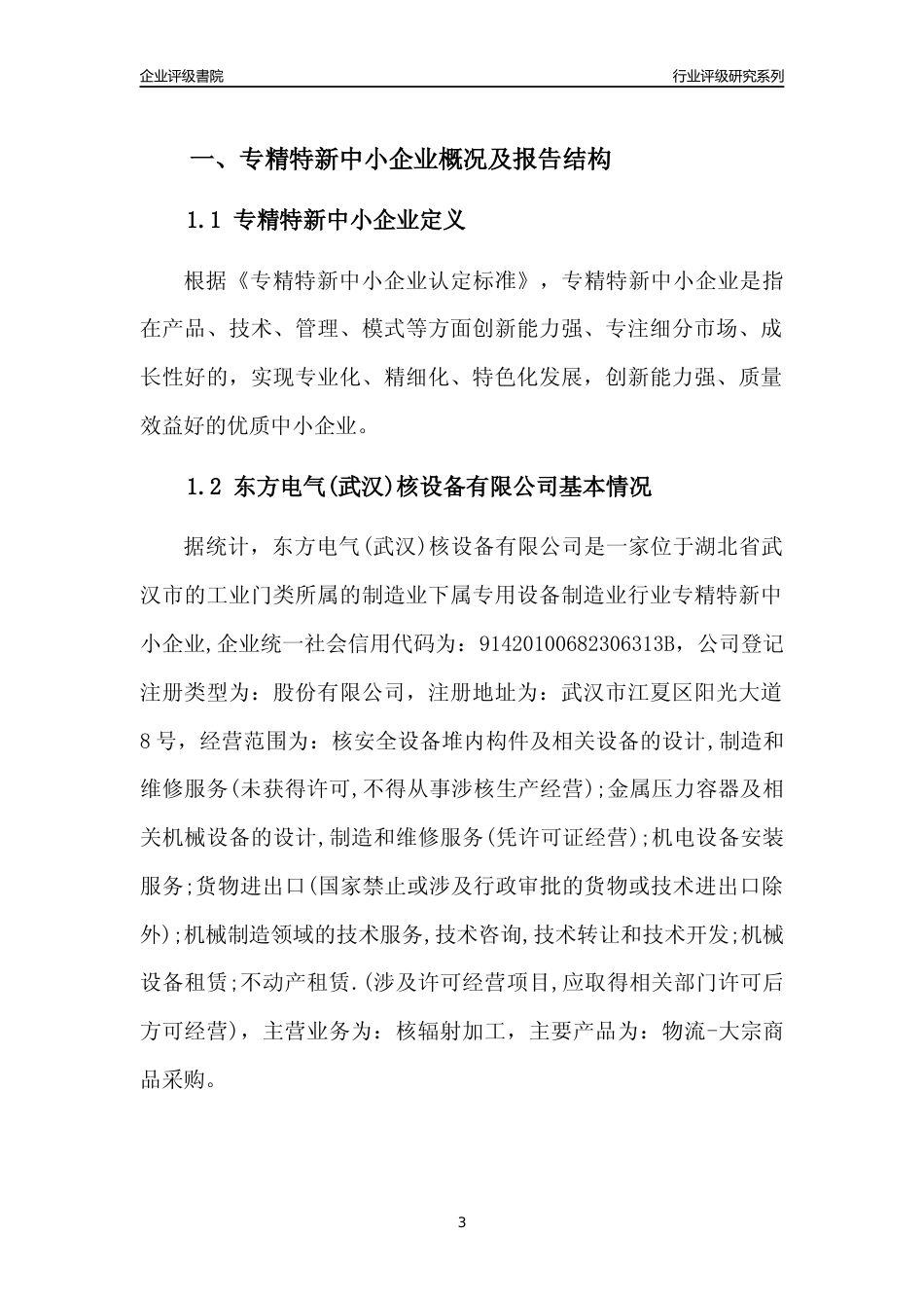 [专精特新]东方电气(武汉)核设备有限公司行业竞争力评级分析报告(2023版)_第3页