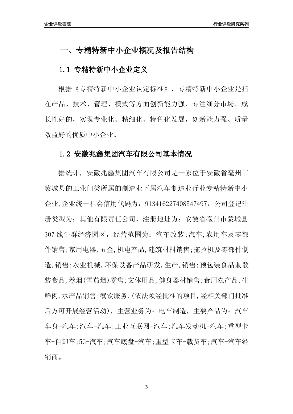 [专精特新]安徽兆鑫集团汽车有限公司行业竞争力评级分析报告(2023版)_第3页
