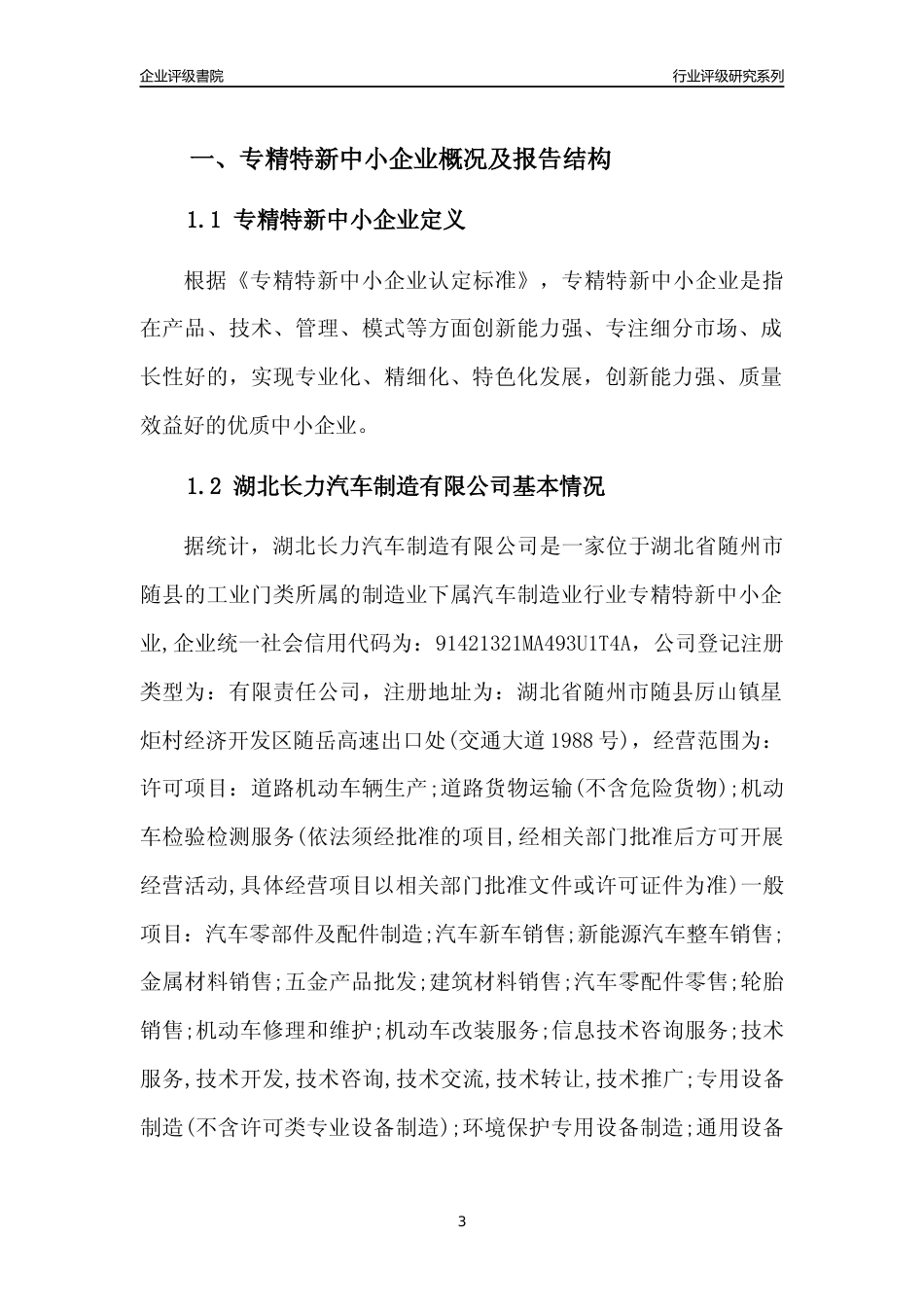 [专精特新]湖北长力汽车制造有限公司行业竞争力评级分析报告(2023版)_第3页