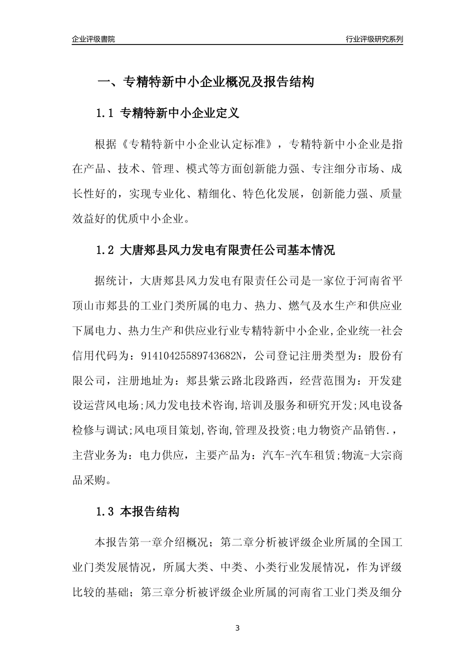 [专精特新]大唐郏县风力发电有限责任公司行业竞争力评级分析报告(2023版)_第3页