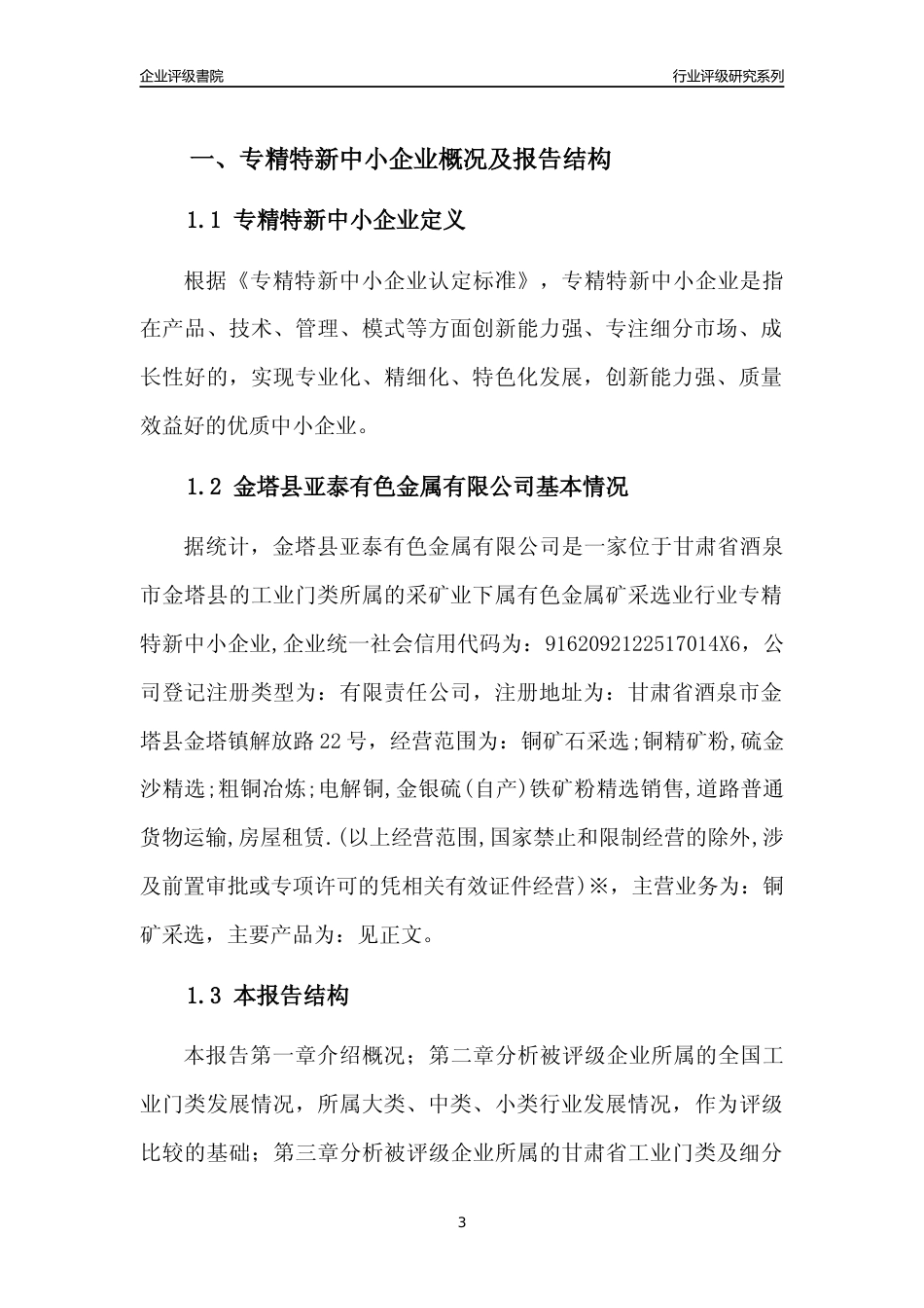 [专精特新]金塔县亚泰有色金属有限公司行业竞争力评级分析报告(2023版)_第3页