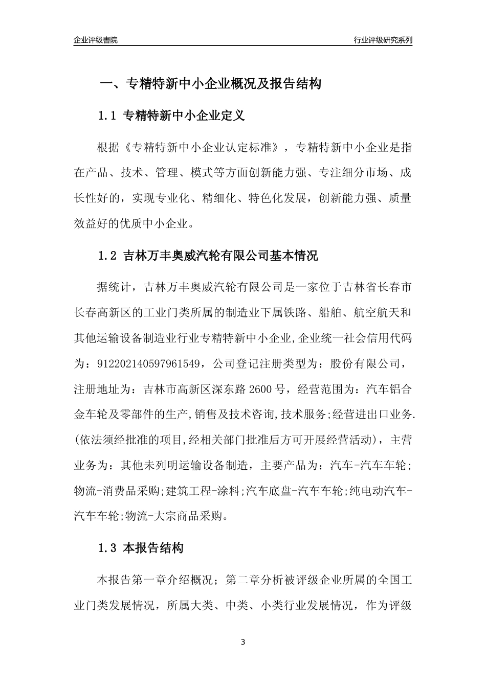 [专精特新]吉林万丰奥威汽轮有限公司行业竞争力评级分析报告(2023版)_第3页
