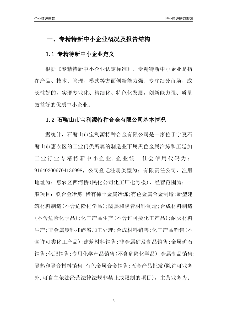 [专精特新]石嘴山市宝利源特种合金有限公司行业竞争力评级分析报告(2023版)_第3页