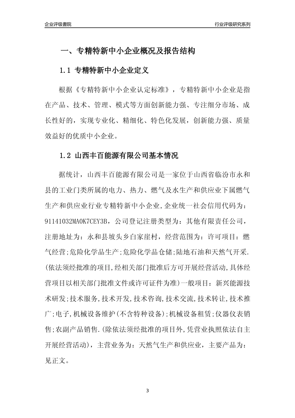 [专精特新]山西丰百能源有限公司行业竞争力评级分析报告(2023版)_第3页
