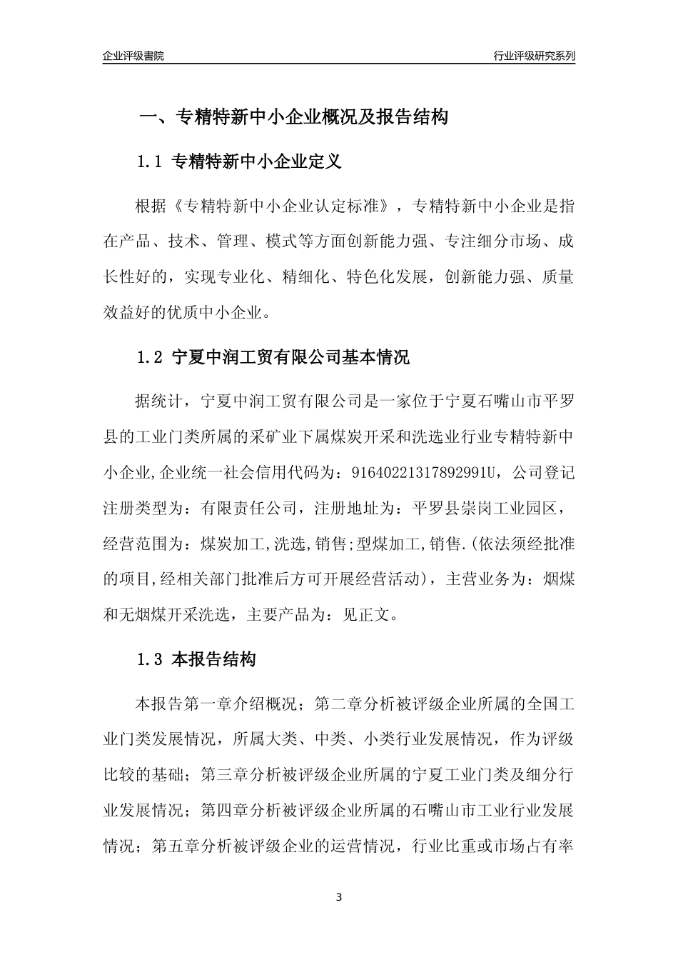 [专精特新]宁夏中润工贸有限公司行业竞争力评级分析报告(2023版)_第3页
