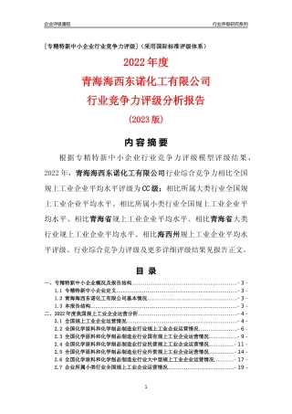 [专精特新]青海海西东诺化工有限公司行业竞争力评级分析报告(2023版)