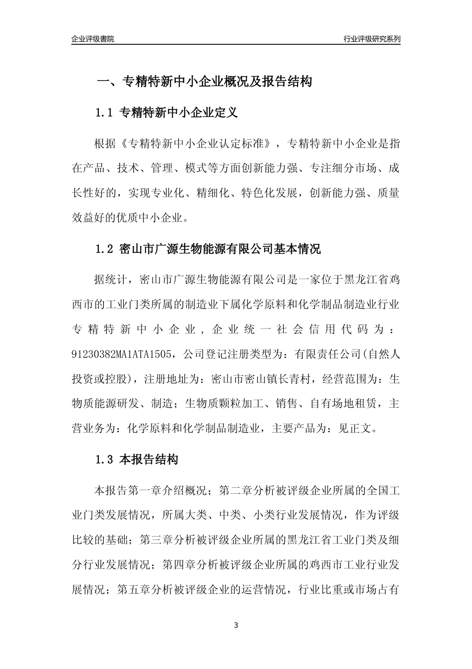 [专精特新]密山市广源生物能源有限公司行业竞争力评级分析报告(2023版)_第3页
