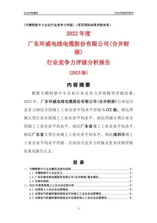 [专精特新]广东环威电线电缆股份有限公司(合并财报)行业竞争力评级分析报告(2023版)