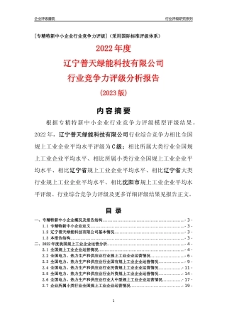 [专精特新]辽宁普天绿能科技有限公司行业竞争力评级分析报告(2023版)