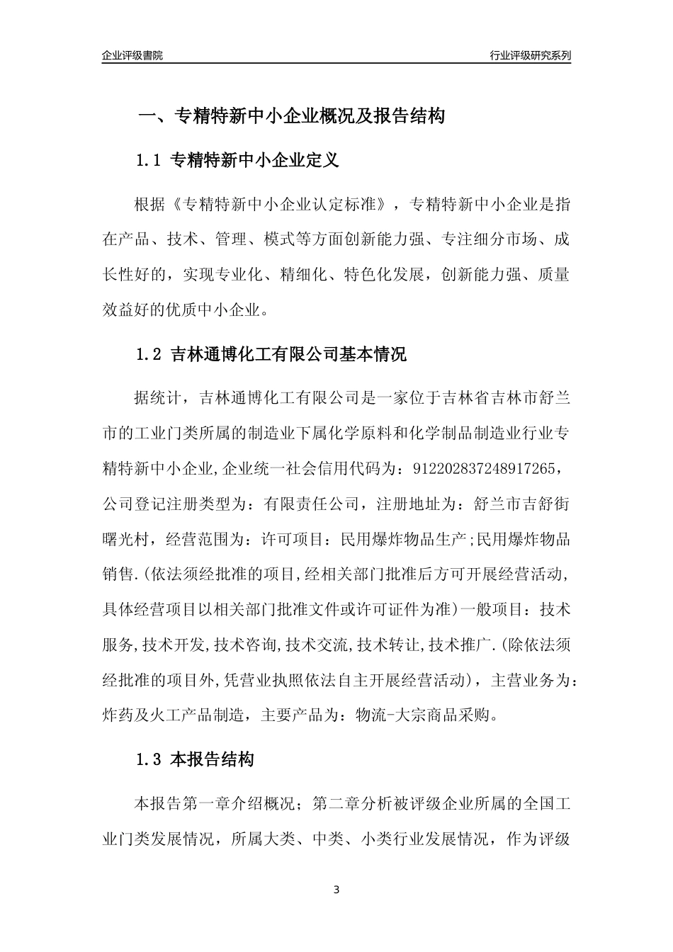 [专精特新]吉林通博化工有限公司行业竞争力评级分析报告(2023版)_第3页