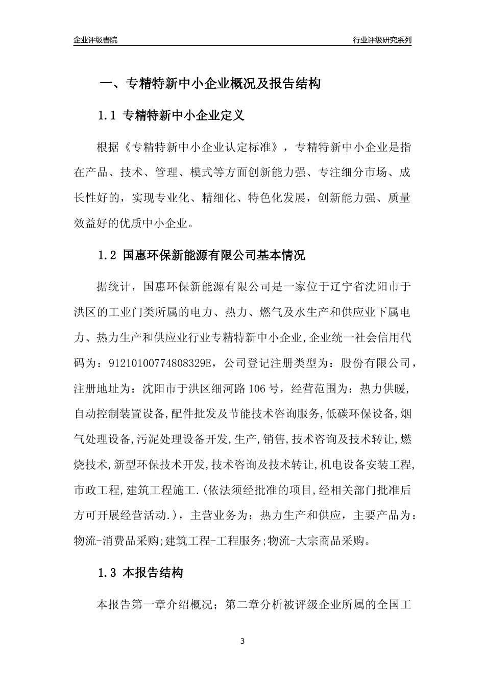 [专精特新]国惠环保新能源有限公司行业竞争力评级分析报告(2023版)_第3页
