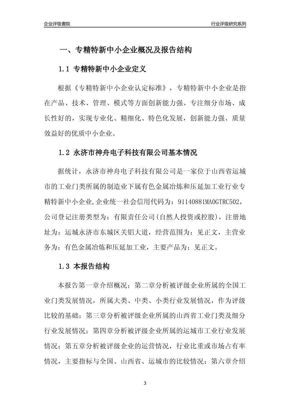 [专精特新]永济市神舟电子科技有限公司行业竞争力评级分析报告(2023版)_第3页