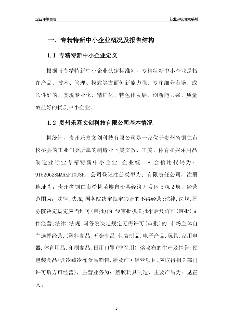 [专精特新]贵州乐嘉文创科技有限公司行业竞争力评级分析报告(2023版)_第3页