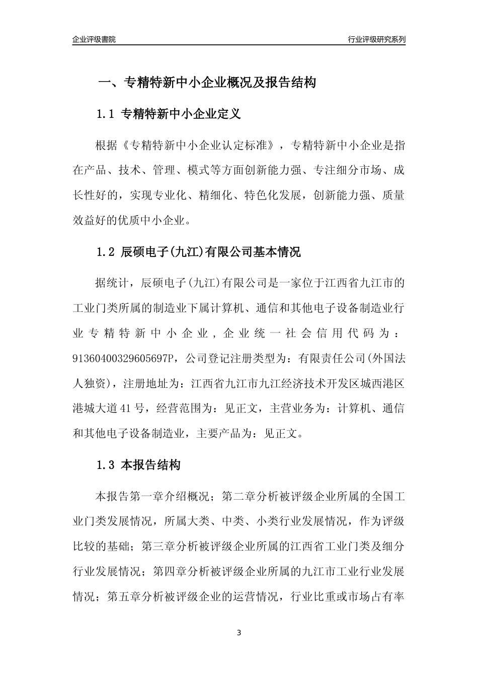 [专精特新]辰硕电子(九江)有限公司行业竞争力评级分析报告(2023版)_第3页