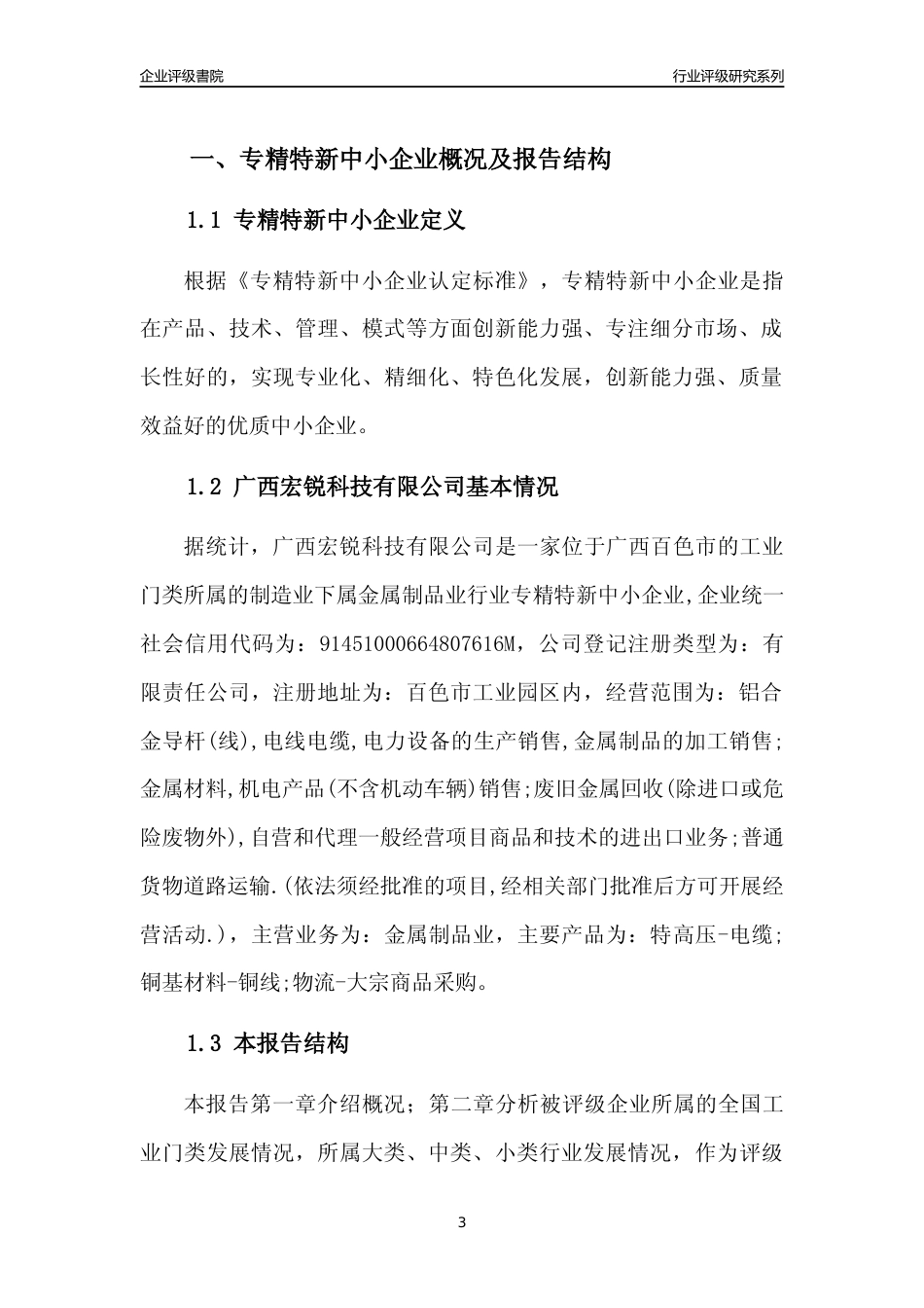 [专精特新]广西宏锐科技有限公司行业竞争力评级分析报告(2023版)_第3页